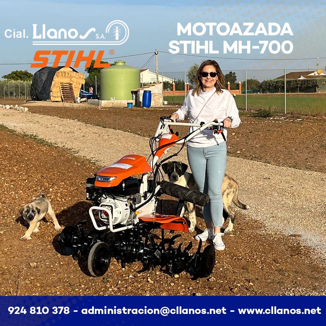 Motoazada para la huerta , Motor