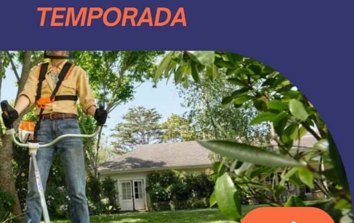 LAS MEJORES DESBROZADORAS STIHL PARA CONQUISTAR LA HIERBA ALTA EN EXTREMADURA ESTA TEMPORADA _ GUÍA EXPERTA DE COMERCIAL LLANOS, DON BENITO