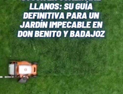 LOS MEJORES CORTACÉSPEDES STIHL EN STOCK EN COMERCIAL LLANOS: SU GUÍA DEFINITIVA PARA UN JARDÍN IMPECABLE EN DON BENITO Y BADAJOZ