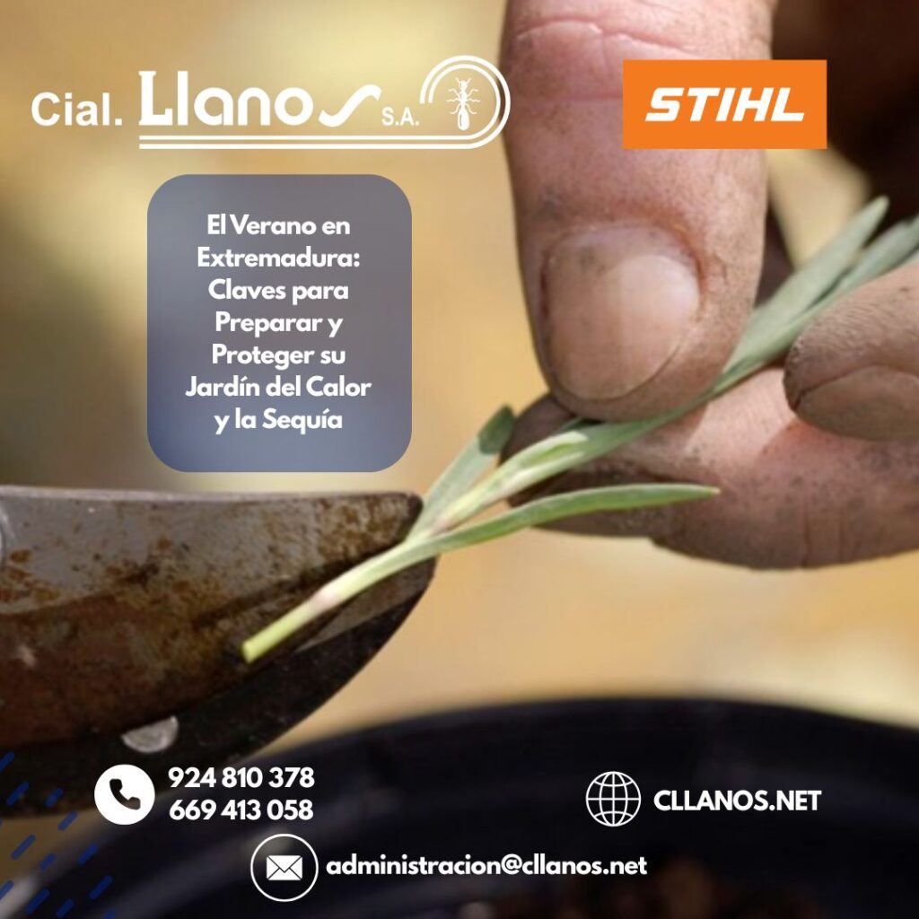 GUÍA DEFINITIVA DE COMERCIAL LLANOS PARA UN JARDÍN ESPECTACULAR EN VERANO EN DON BENITO Y TODA EXTREMADURA (2)