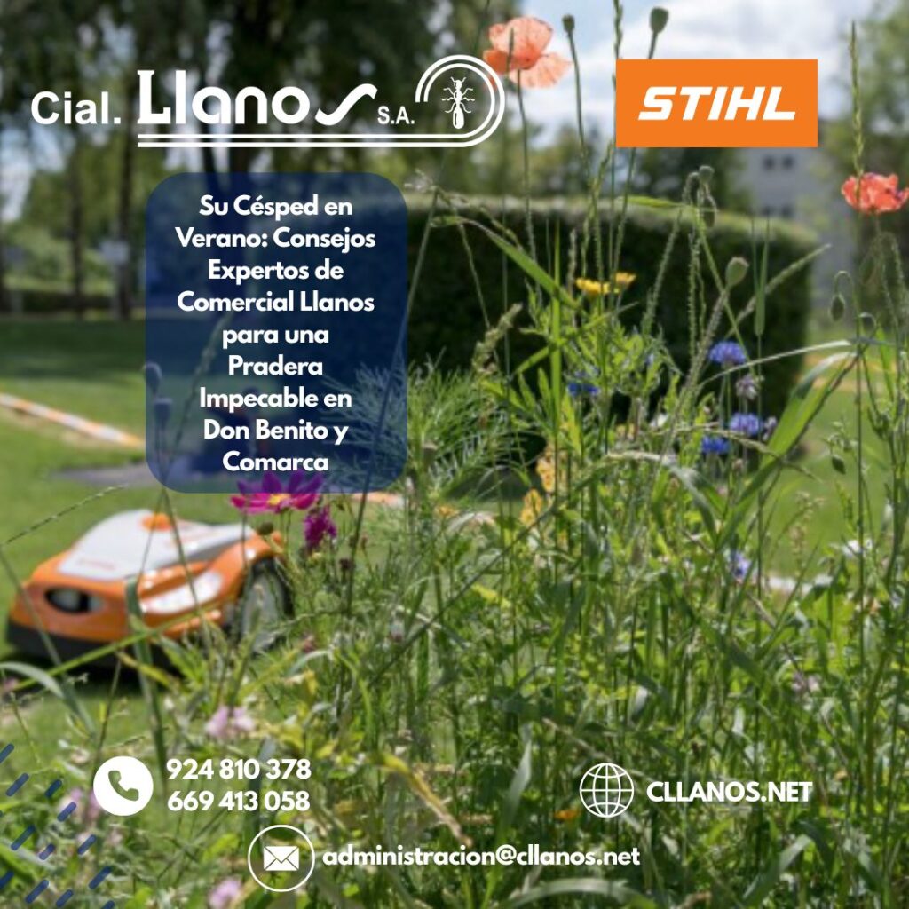 GUÍA DEFINITIVA DE COMERCIAL LLANOS PARA UN JARDÍN ESPECTACULAR EN VERANO EN DON BENITO Y TODA EXTREMADURA (2)