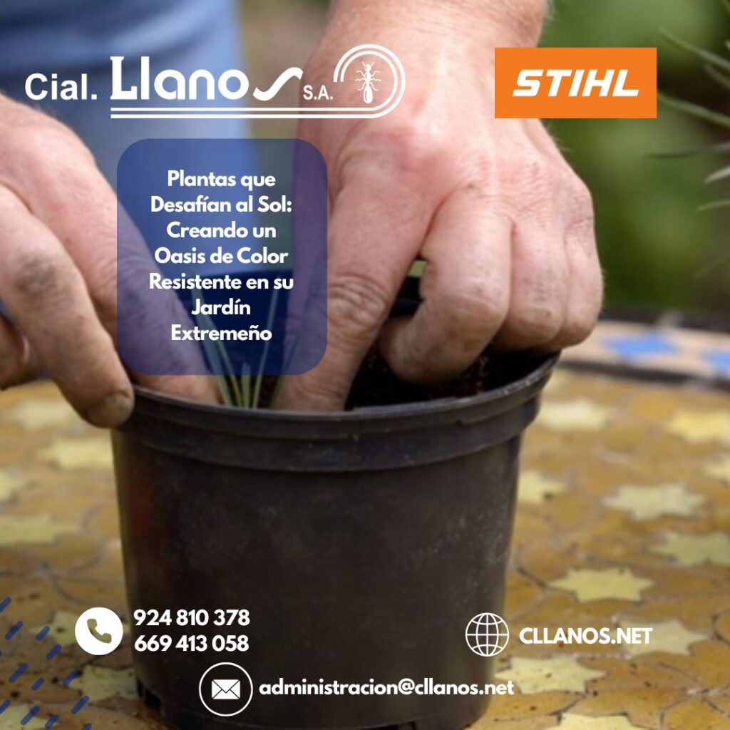 GUÍA DEFINITIVA DE COMERCIAL LLANOS PARA UN JARDÍN ESPECTACULAR EN VERANO EN DON BENITO Y TODA EXTREMADURA (2)
