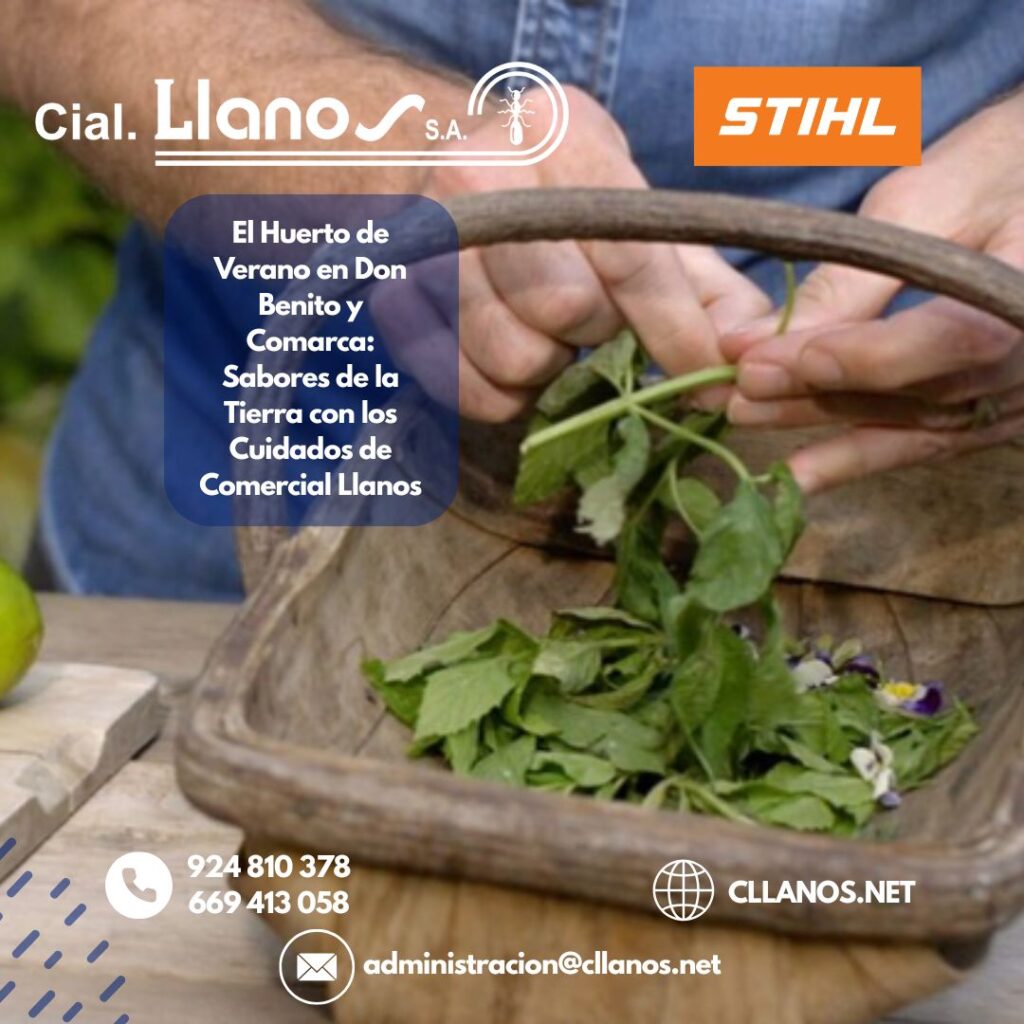 GUÍA DEFINITIVA DE COMERCIAL LLANOS PARA UN JARDÍN ESPECTACULAR EN VERANO EN DON BENITO Y TODA EXTREMADURA (2)