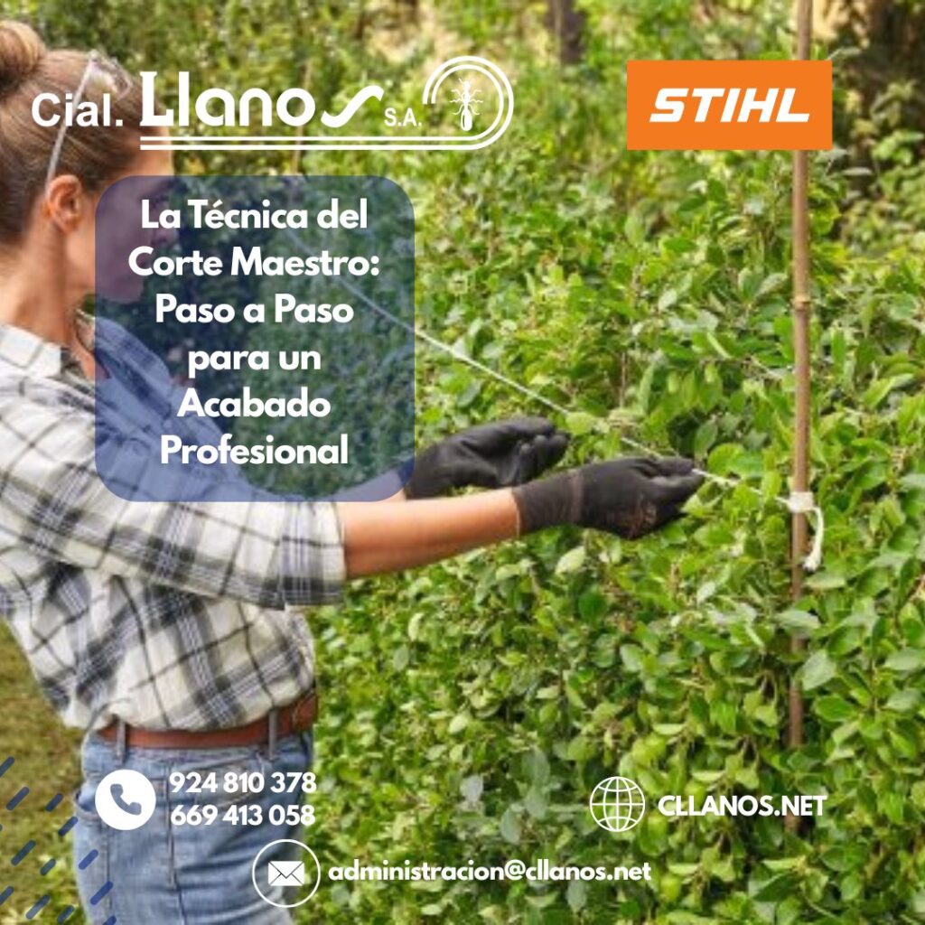GUÍA DEFINITIVA PARA CORTAR SETOS_ CONSEJOS DE EXPERTOS DE COMERCIAL LLANOS EN DON BENITO