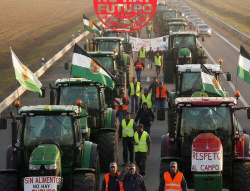 SIN CAMPO NO HAY FUTURO: COMERCIAL LLANOS SE UNE A LA MOVILIZACIÓN