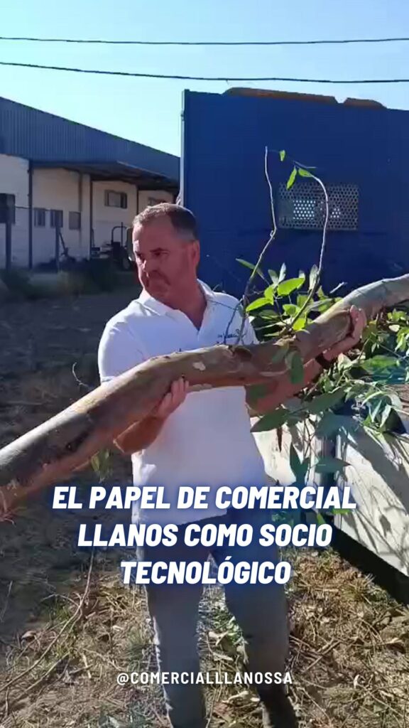 El papel de Comercial Llanos como socio tecnológico