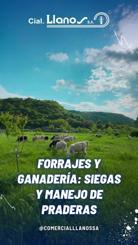 Forrajes y ganadería_ siegas y manejo de praderas