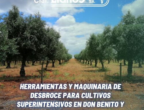 HERRAMIENTAS Y MAQUINARIA DE DESBROCE PARA CULTIVOS SUPERINTENSIVOS EN DON BENITO Y EXTREMADURA